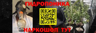 молекула духа Славянск-на-Кубани