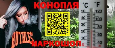 молекула духа Славянск-на-Кубани