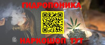 молекула духа Славянск-на-Кубани