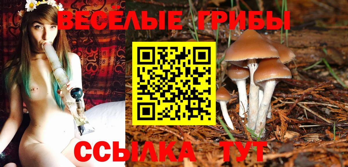 Альфа ПВП Павлово