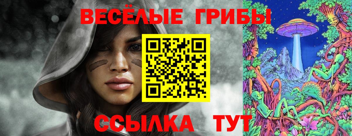 Галлюциногенные грибы GOLDEN TEACHER Павлово
